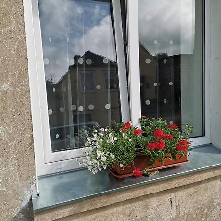 Dzivoklis Vecpilseta Apartment Bauska Exterior foto