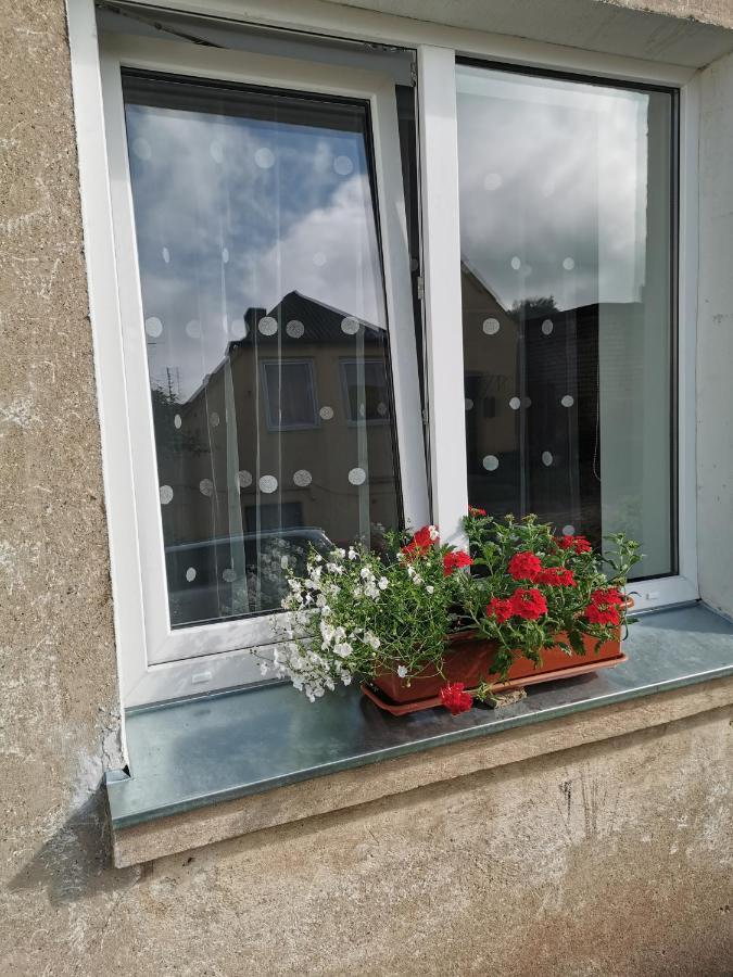 Dzivoklis Vecpilseta Apartment Bauska Exterior foto